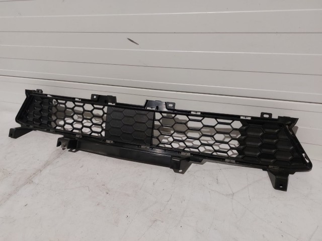 Lower Grille